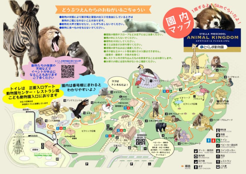 🐘 도쿠시마 동물원(토쿠시마 도부츠엔) STELLA PRESCHOOL ANIMAL KINGDOM 이미지 1